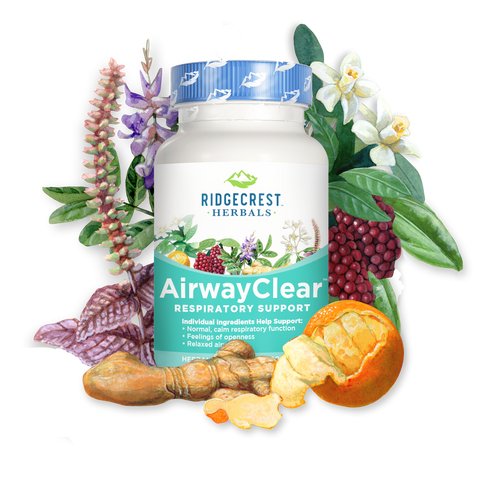 Airway Clear by Ridgecrest Herbals