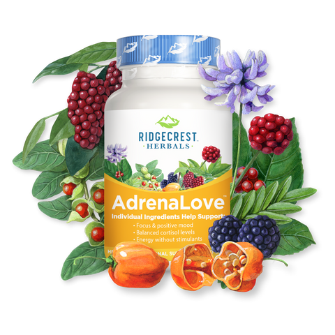 Adrenal Fatigue Fighter by Ridgecrest Herbals