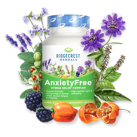 Anxiety Free by Ridgecrest Herbals