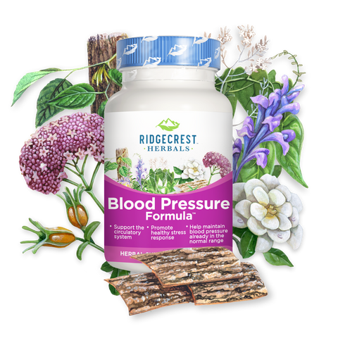 Blood Pressure Formula Ridgecrest Herbals