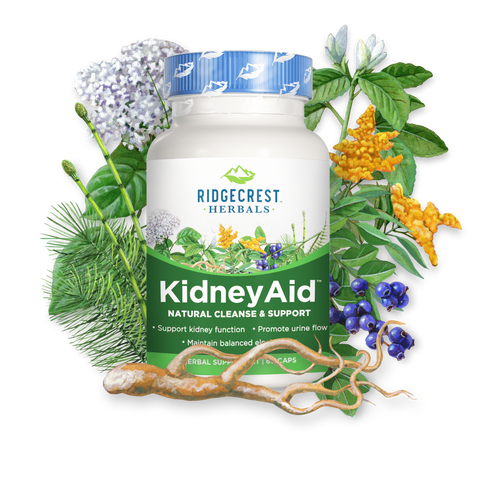 KidneyAid by Ridgecrest Herbals