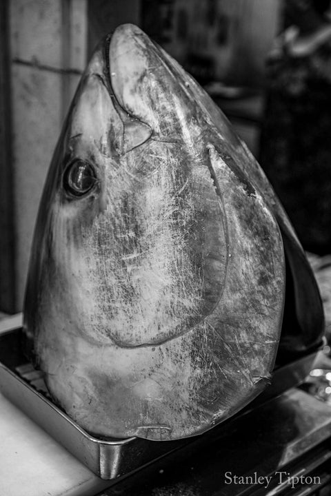 Omega Fatty Acids & Skin Health - Island Health Hut