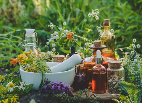 Herbal Tinctures - Island Health Hut