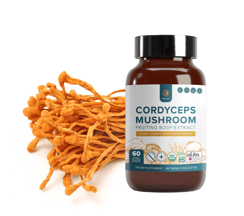 Wholesun Cordyceps Mushroom Capsule