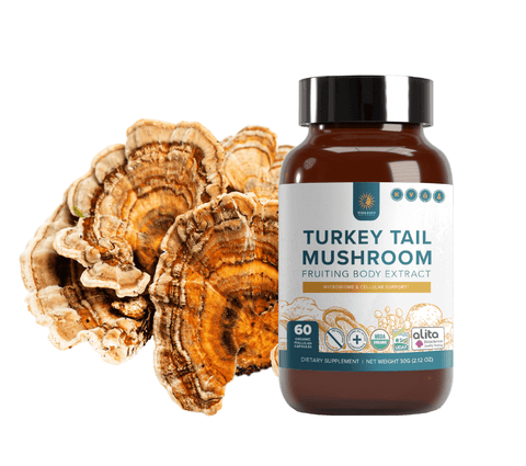 Wholesun Turkey Tail Capsule