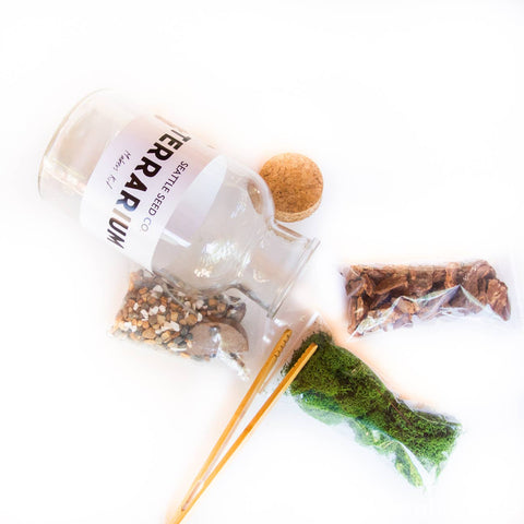 DIY Terrarium Kit - Island Health Hut