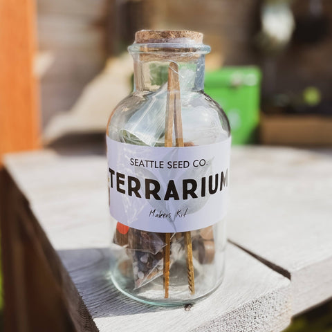 DIY Terrarium Kit - Island Health Hut