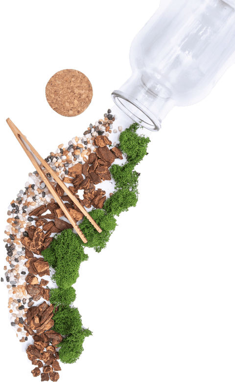 DIY Terrarium Kit - Island Health Hut