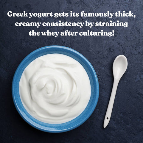 Greek Yogurt Starter Culture - Island Health Hut