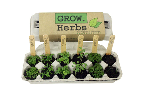 Herb Garden Grow Kit - Island Health Hut