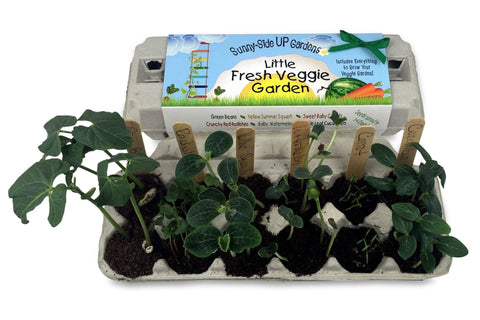 Little Fresh Veggie Garden Grow Kit - Island Health Hut