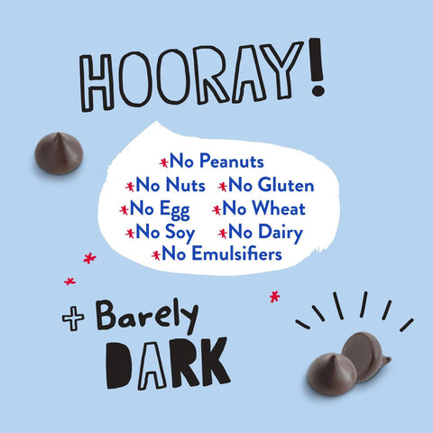 Pascha Semi - Sweet Choco Chips - Island Health Hut