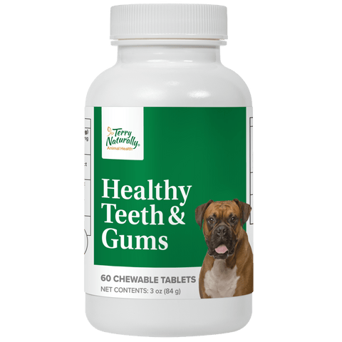Terry Naturally Dog Healthy Teeth & Gums - Island Health Hut