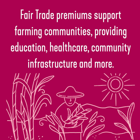 Wholesome Regenerative Organic Certified® Light Brown Sugar - Island Health Hut